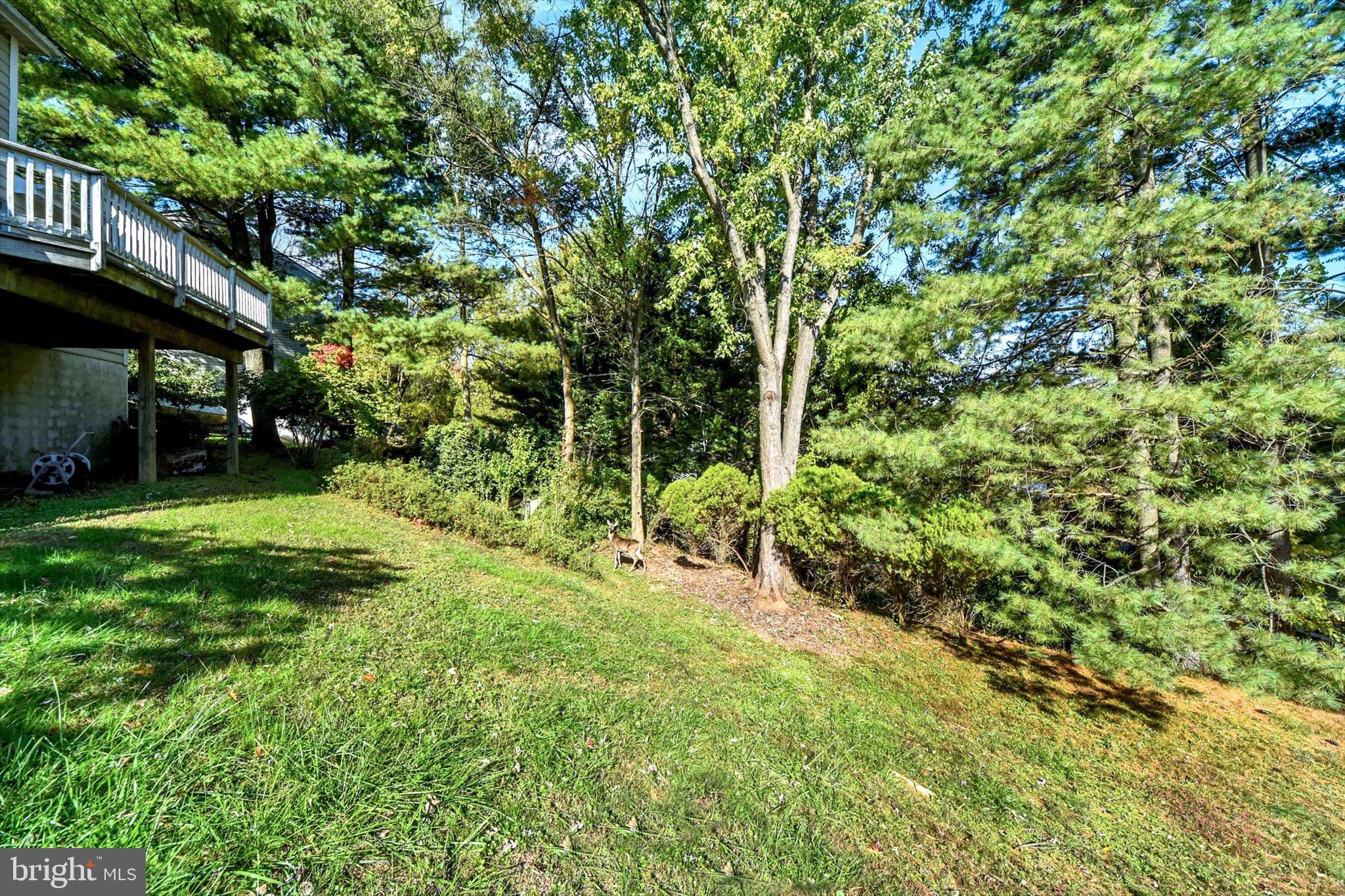 14 White Willow COURT