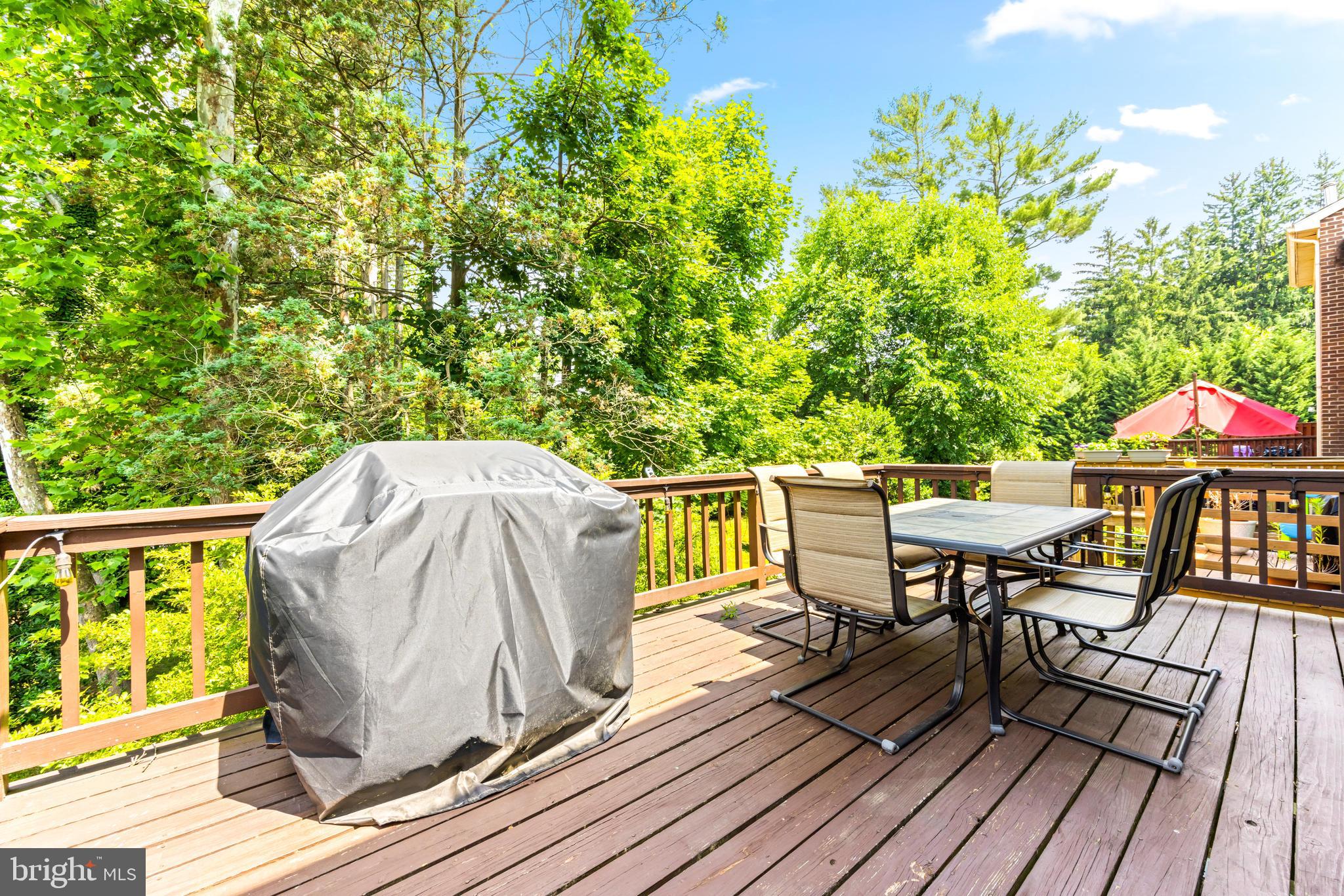 10 Silversage Ct
