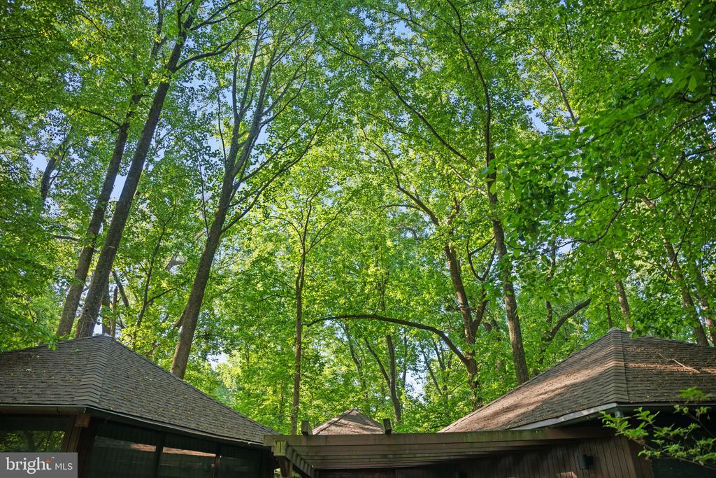 2707 CAVES ROAD