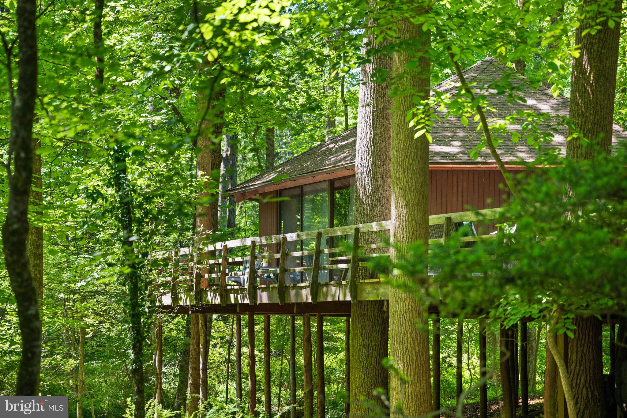 2707 CAVES ROAD