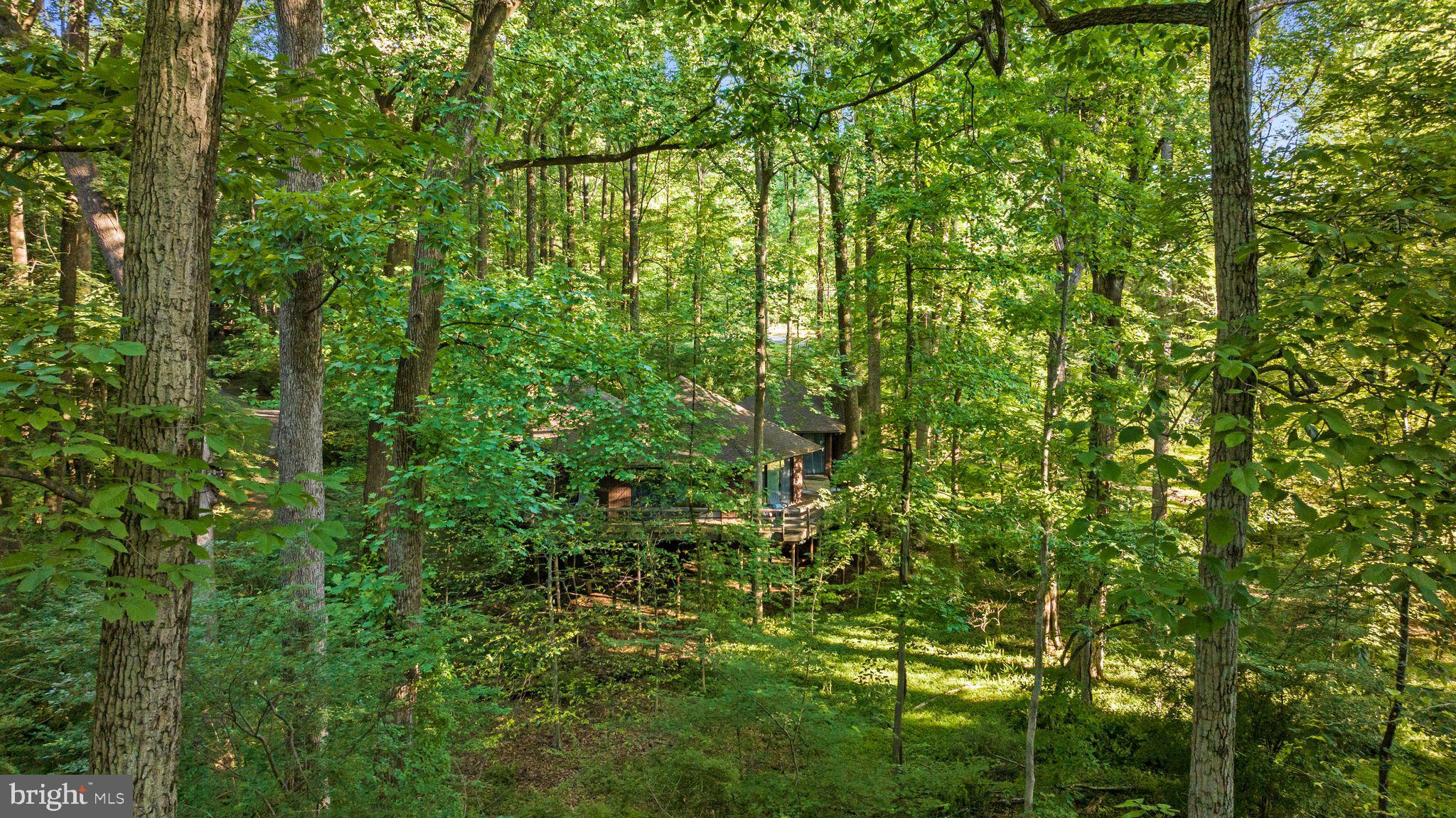 2707 CAVES ROAD