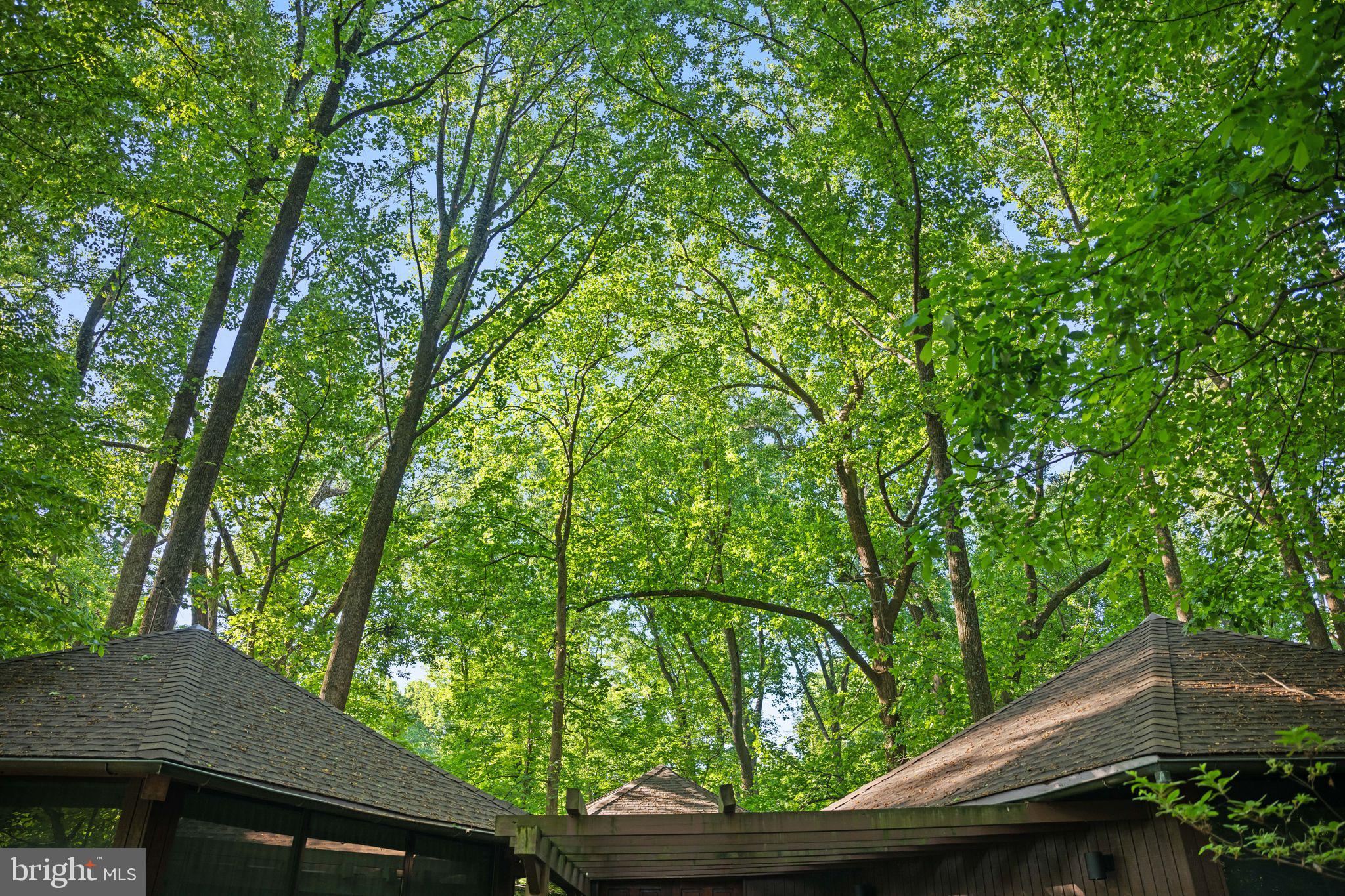 2707 CAVES ROAD