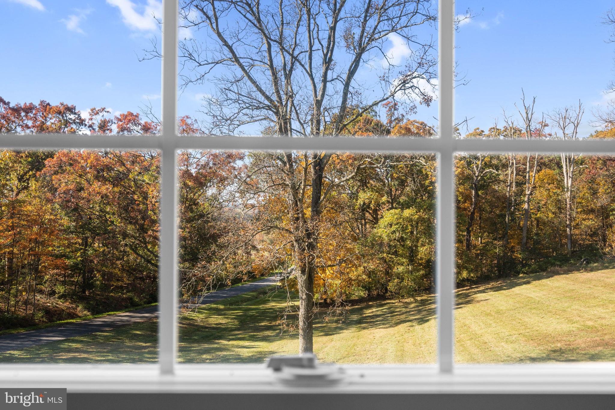 3744 BACK WOODS ROAD