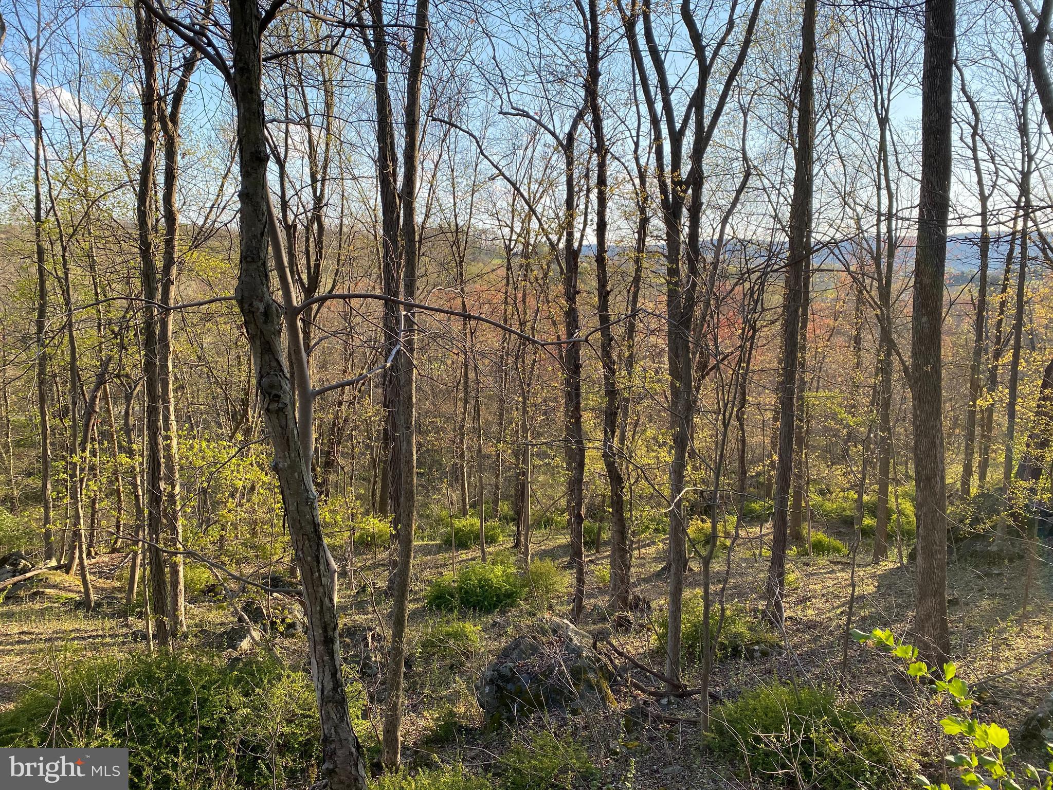 12509 Stottlemyer Rd