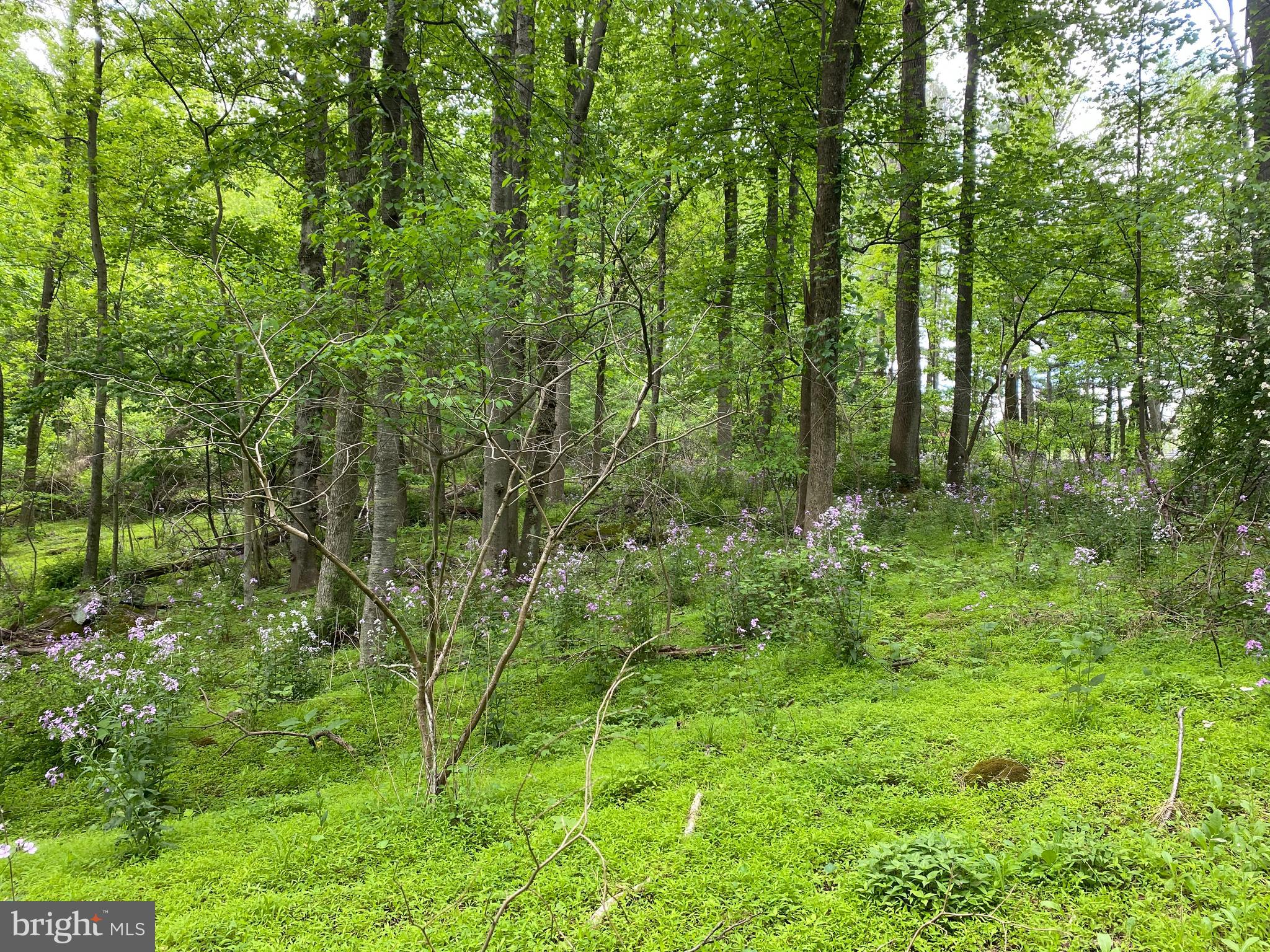 12509 Stottlemyer Rd