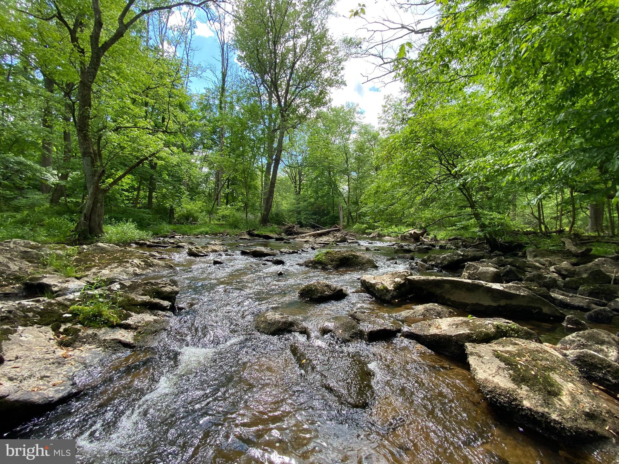 12509 Stottlemyer Rd