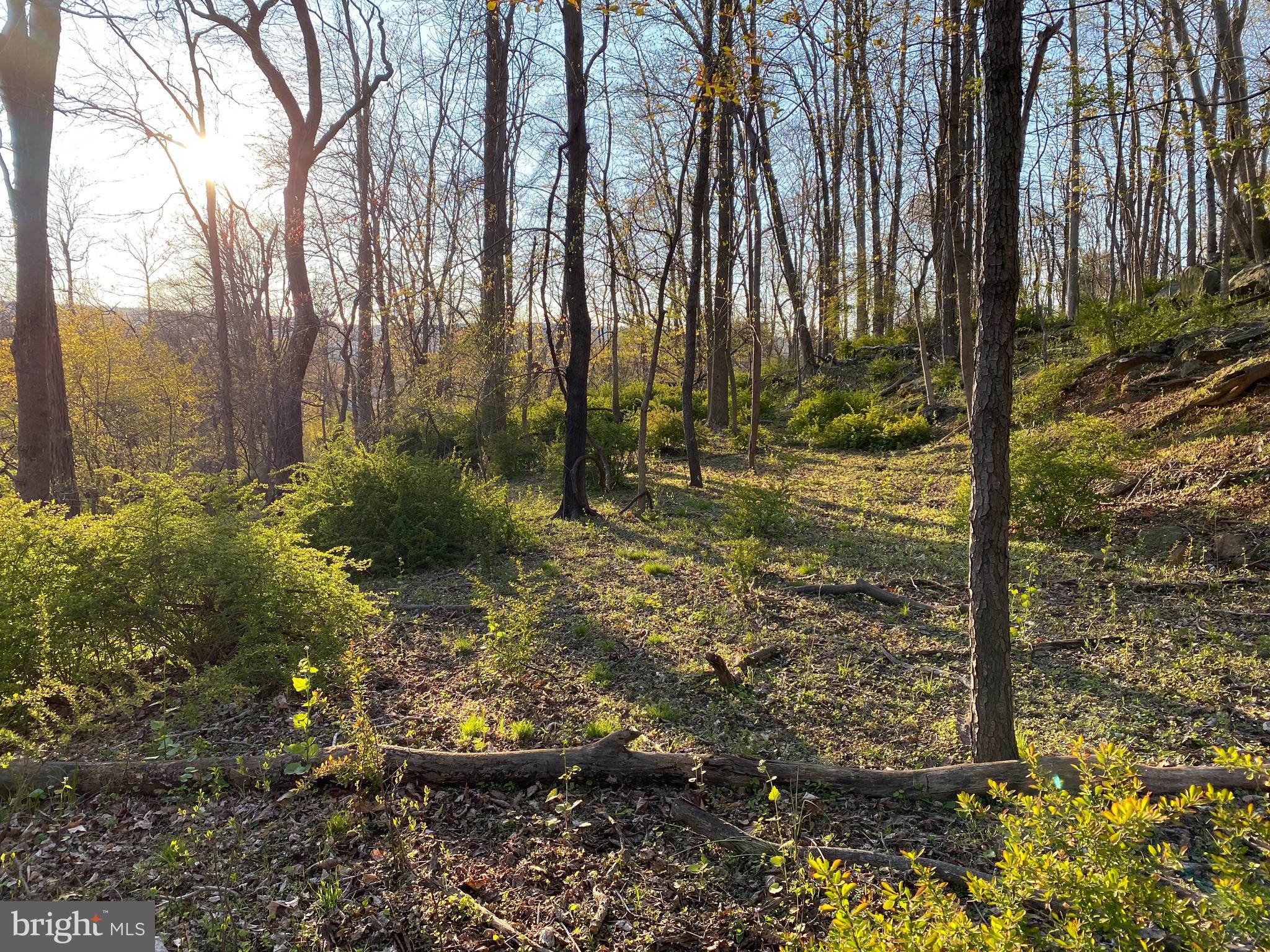 12509 Stottlemyer Rd