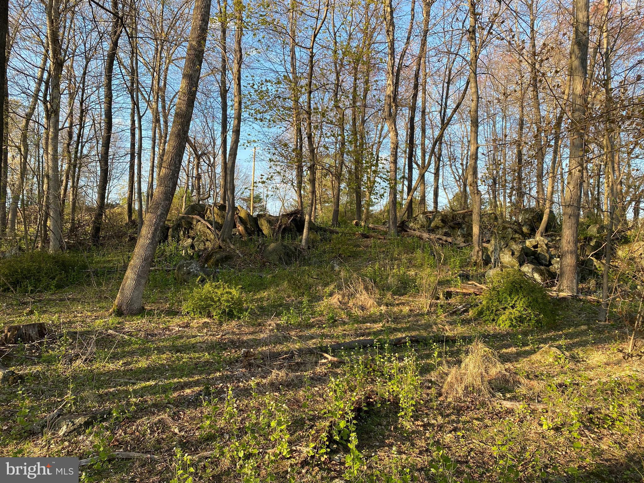 12509 Stottlemyer Rd
