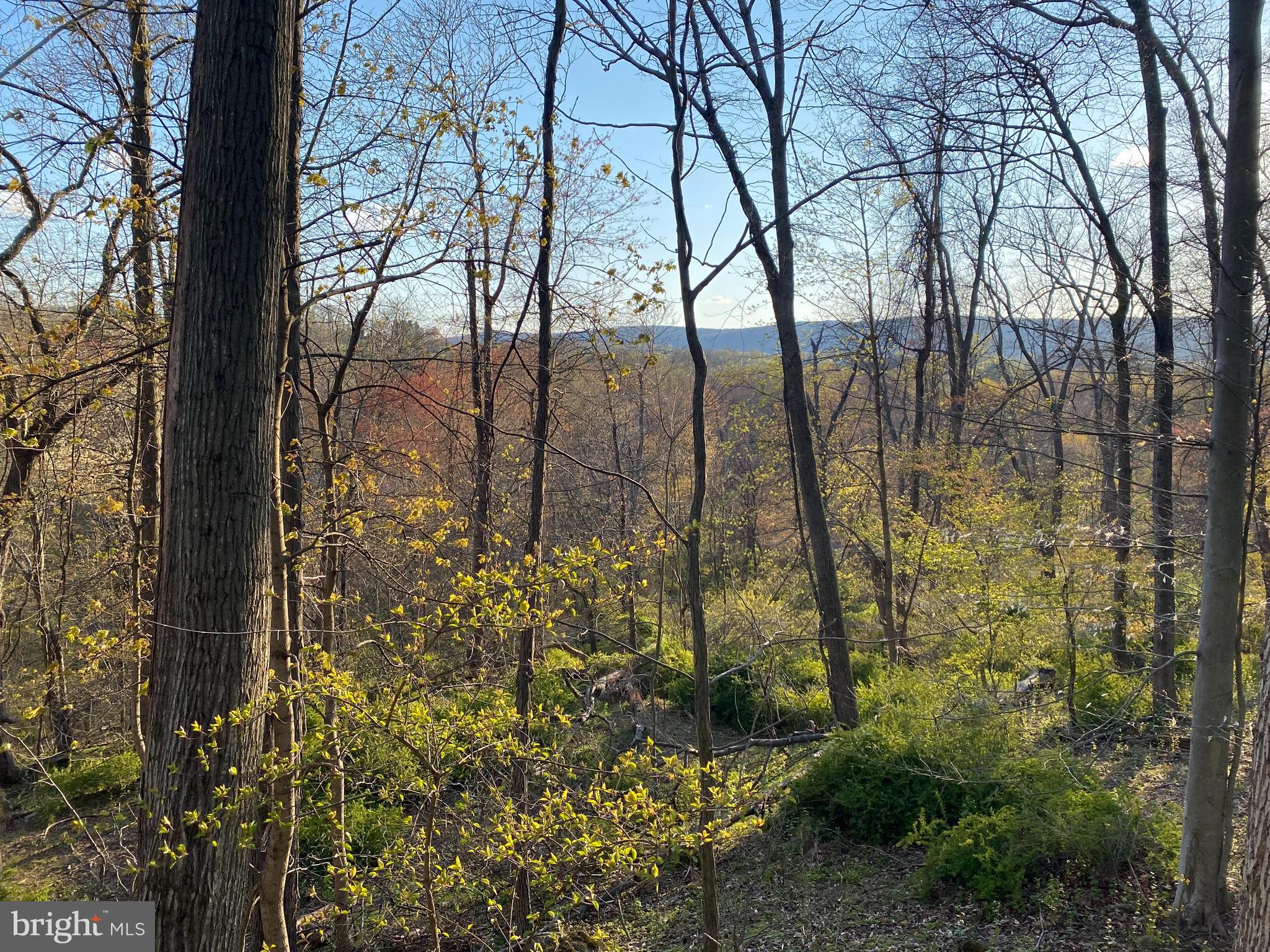 12509 Stottlemyer Rd