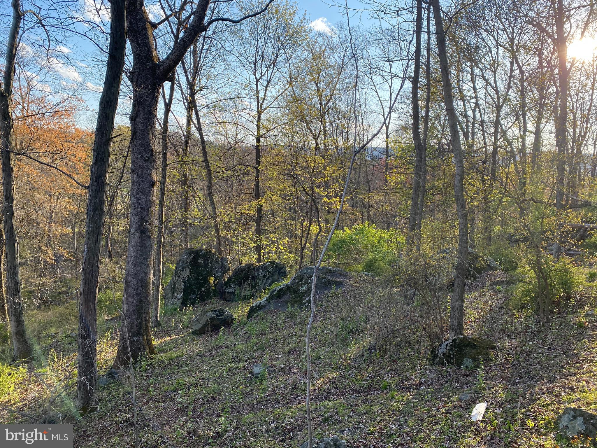12509 Stottlemyer Rd