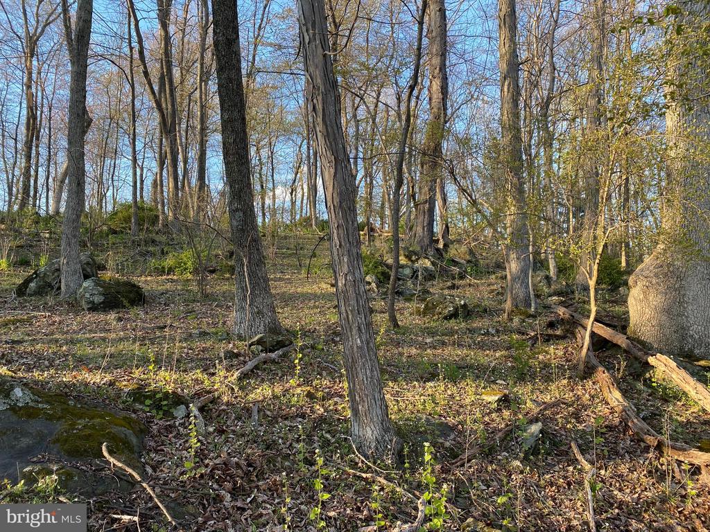 12509 Stottlemyer Rd