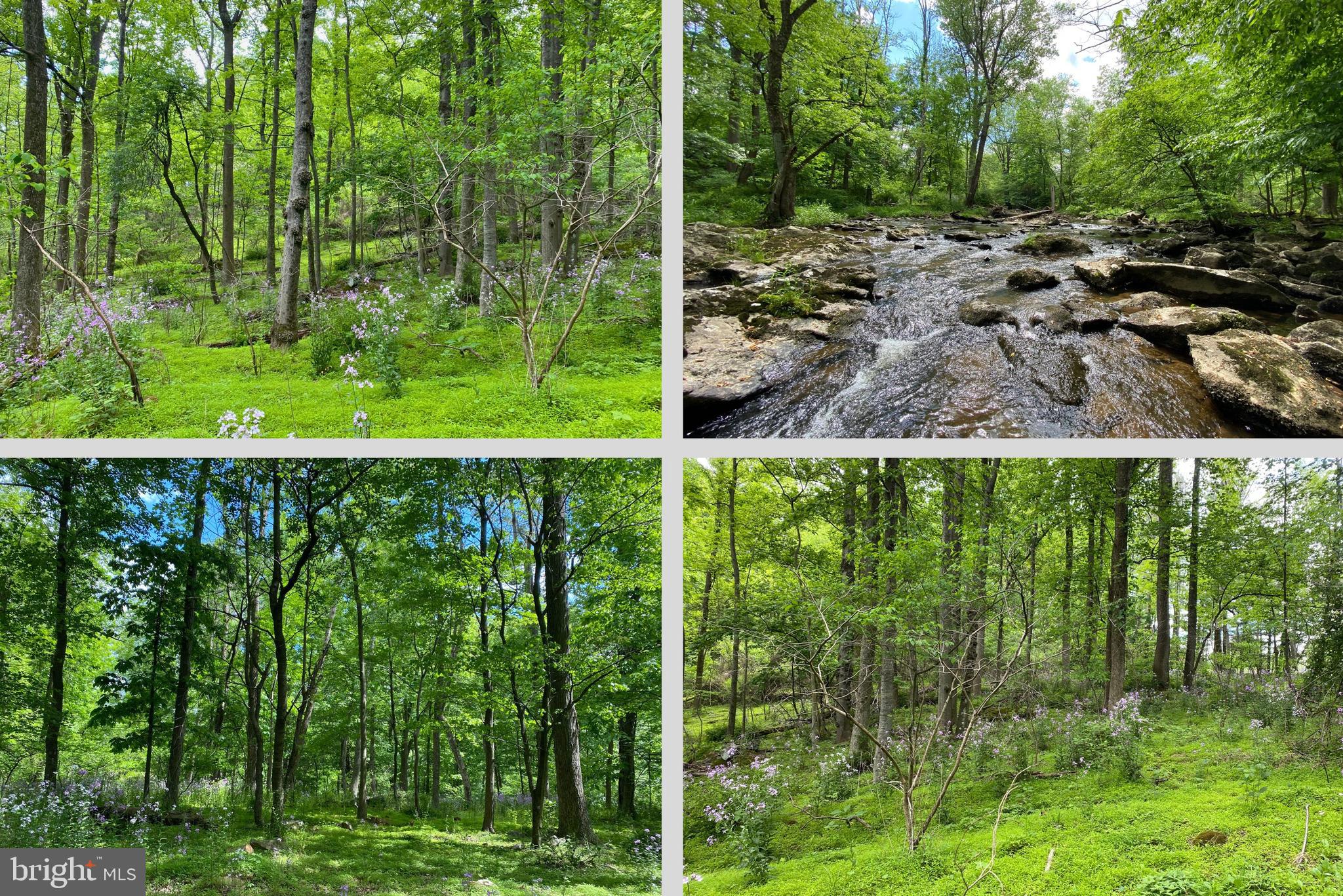 12509 Stottlemyer Rd