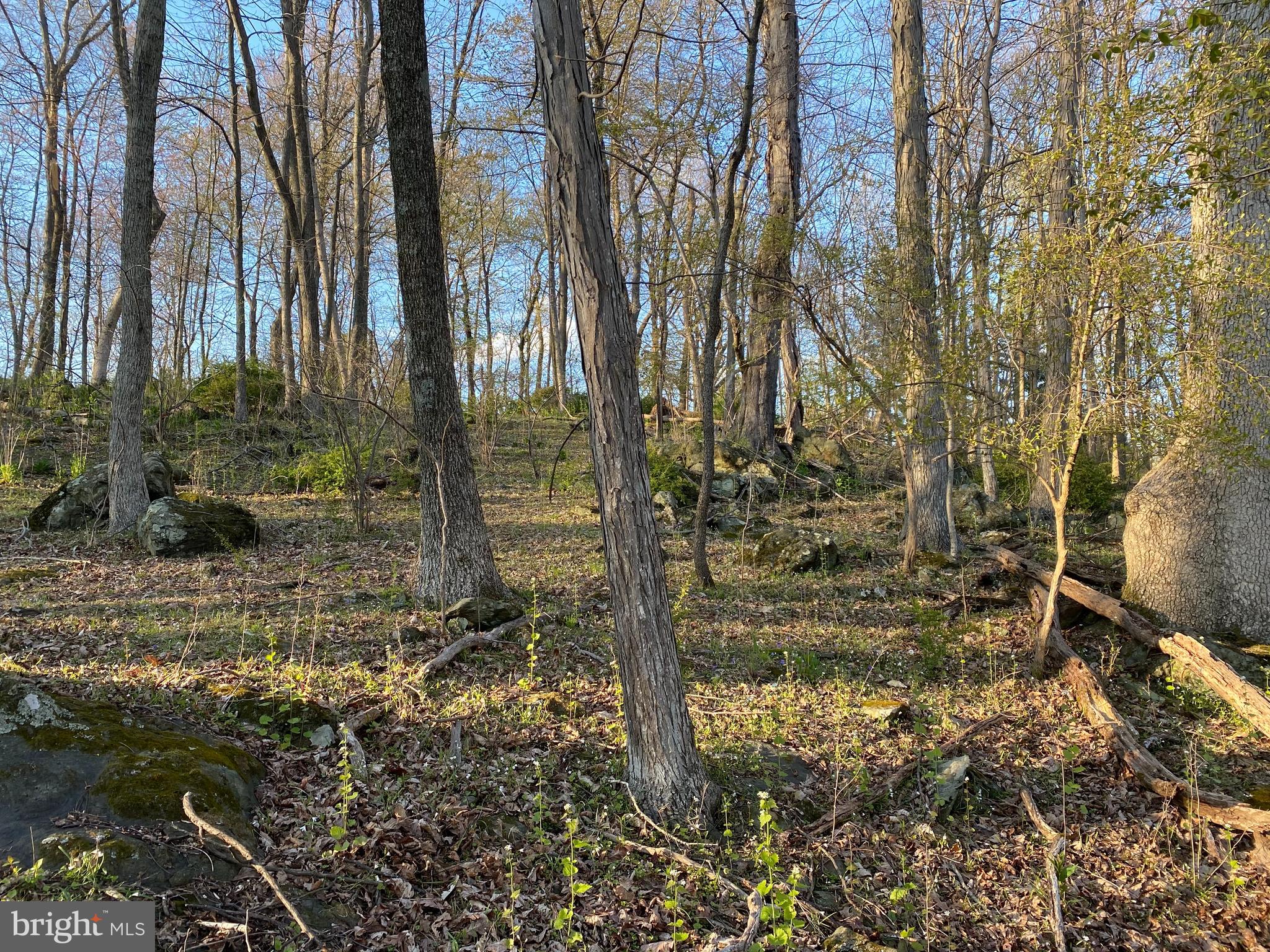 12509 Stottlemyer Rd