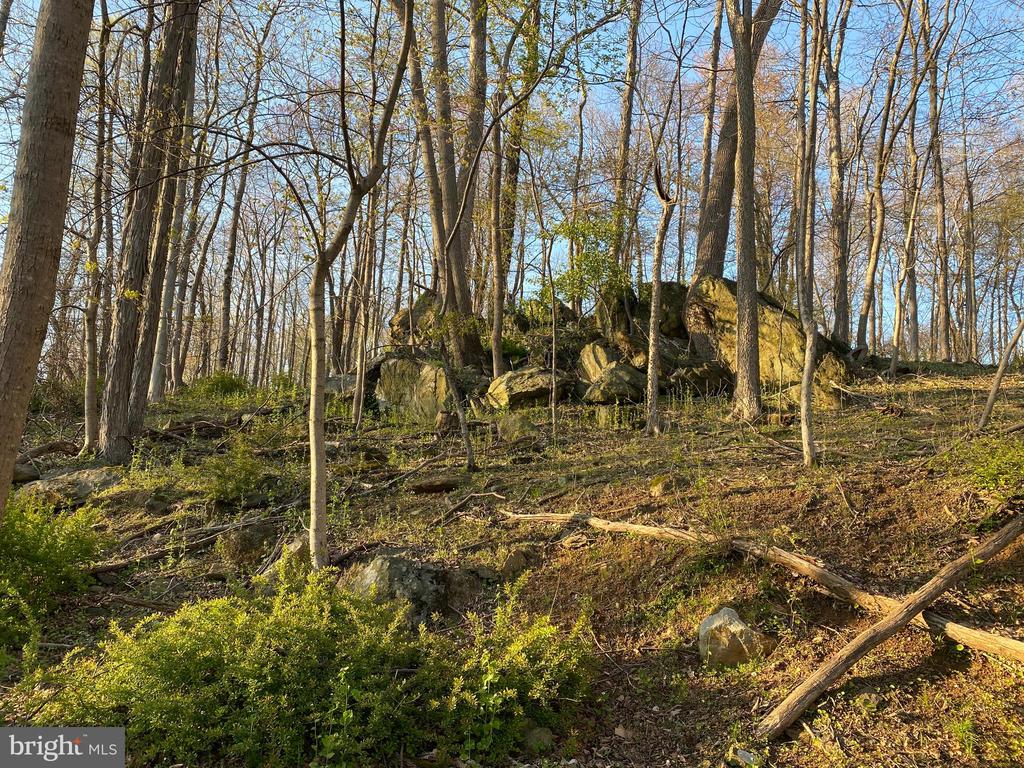 12509 Stottlemyer Rd