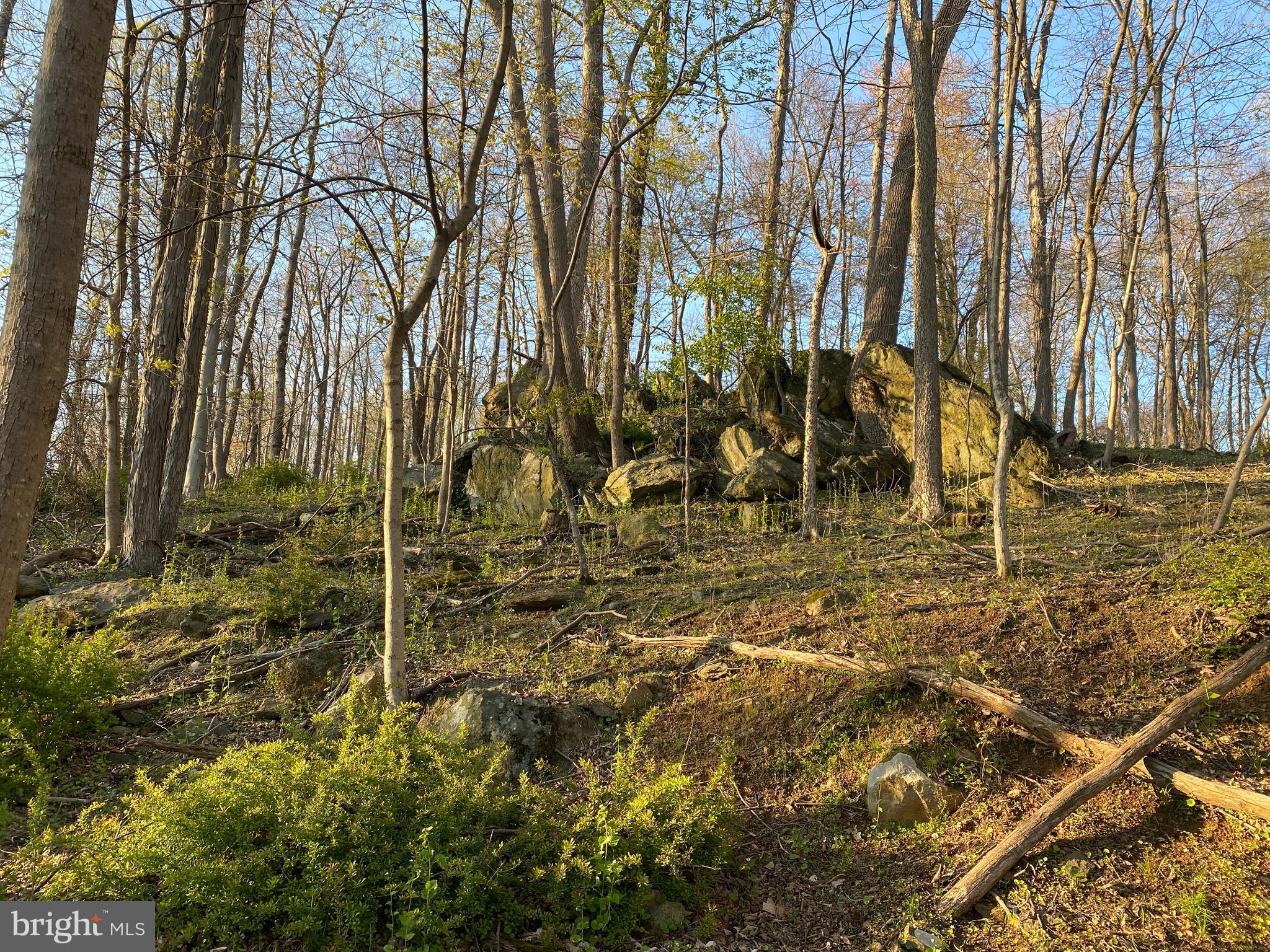 12509 Stottlemyer Rd