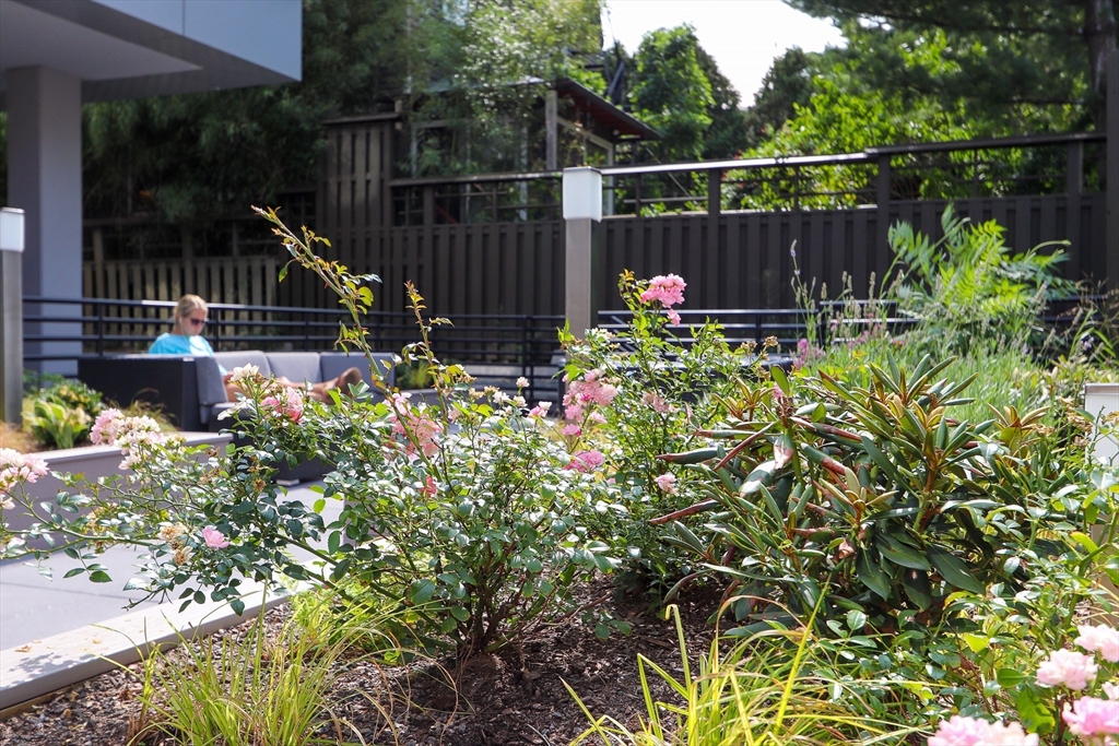 420 Harvard Street # 305