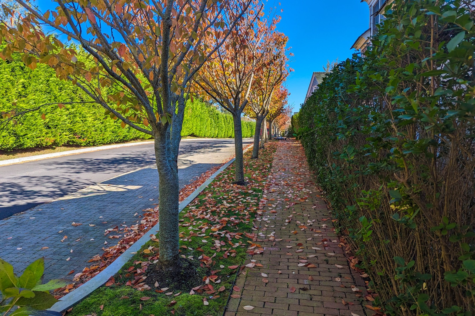 8 Red Mill Lane
