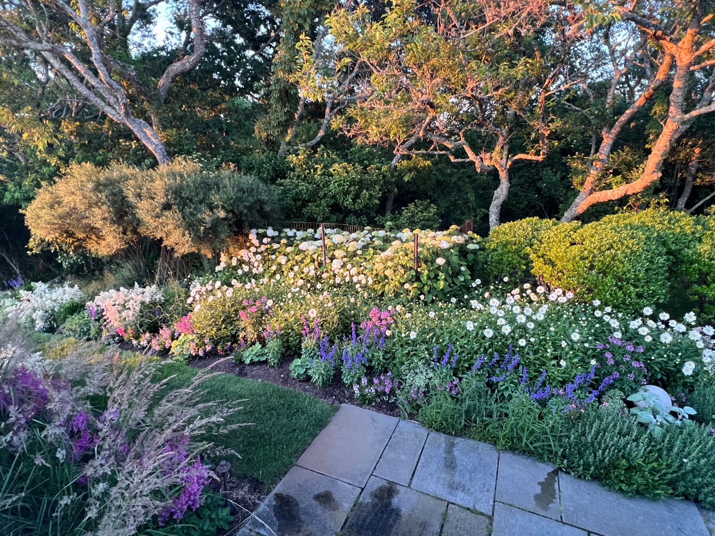 258 Polpis Road