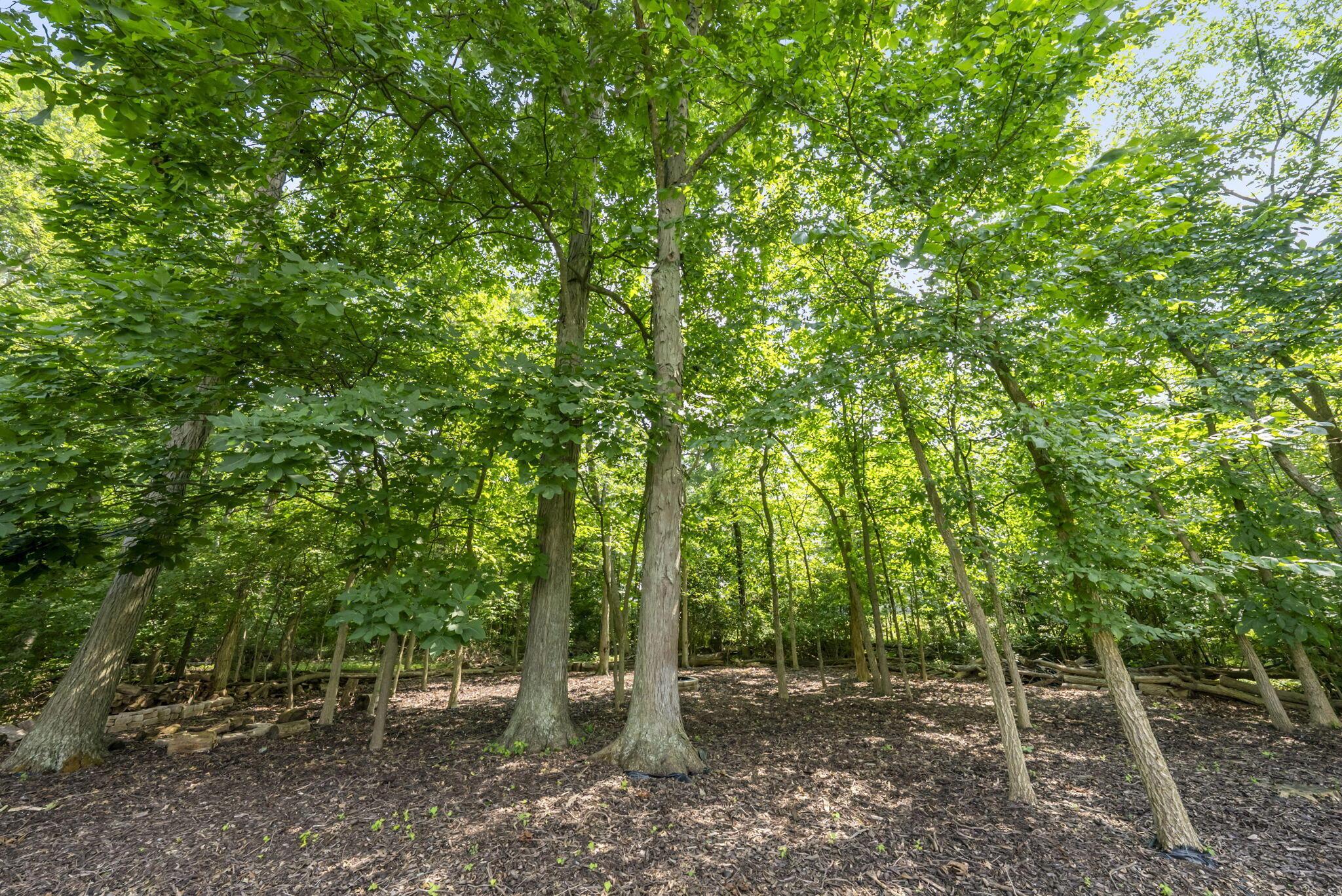 4401 Scioto Parkway