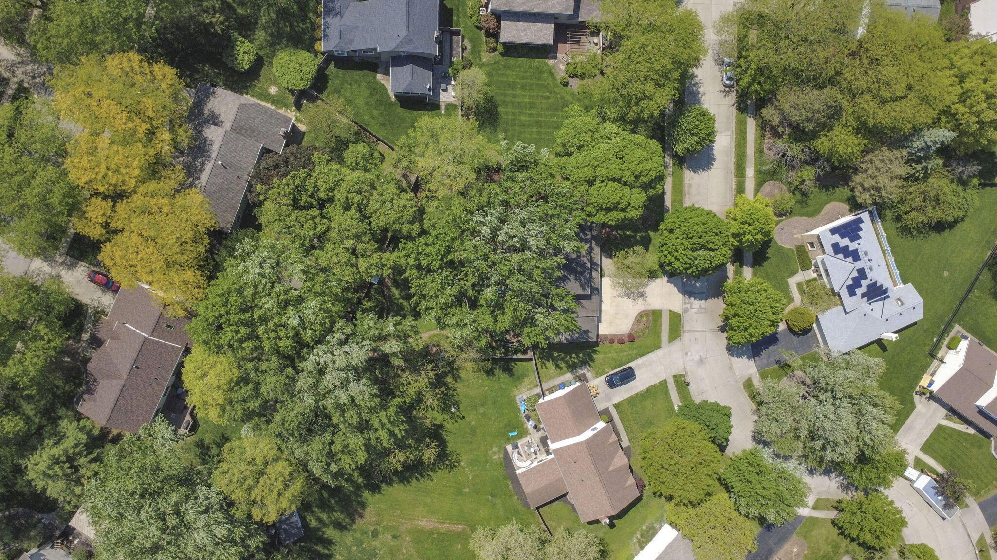 2411 Sovron Court