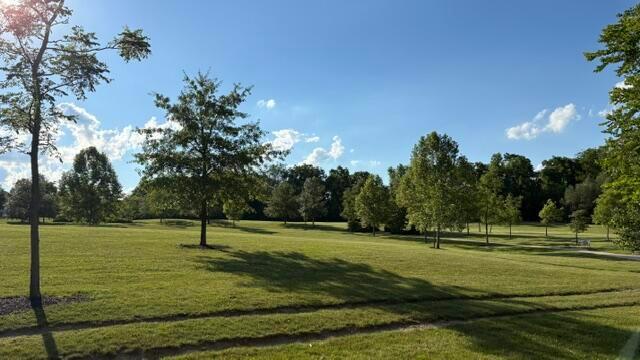 8226 Timber Mist Court