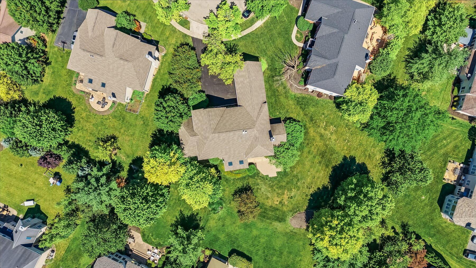 8226 Timber Mist Court