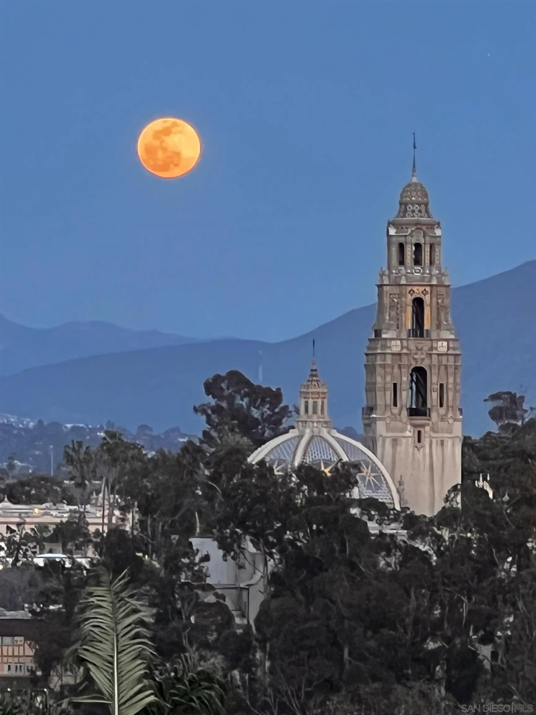 2604 5th Ave Unit #801