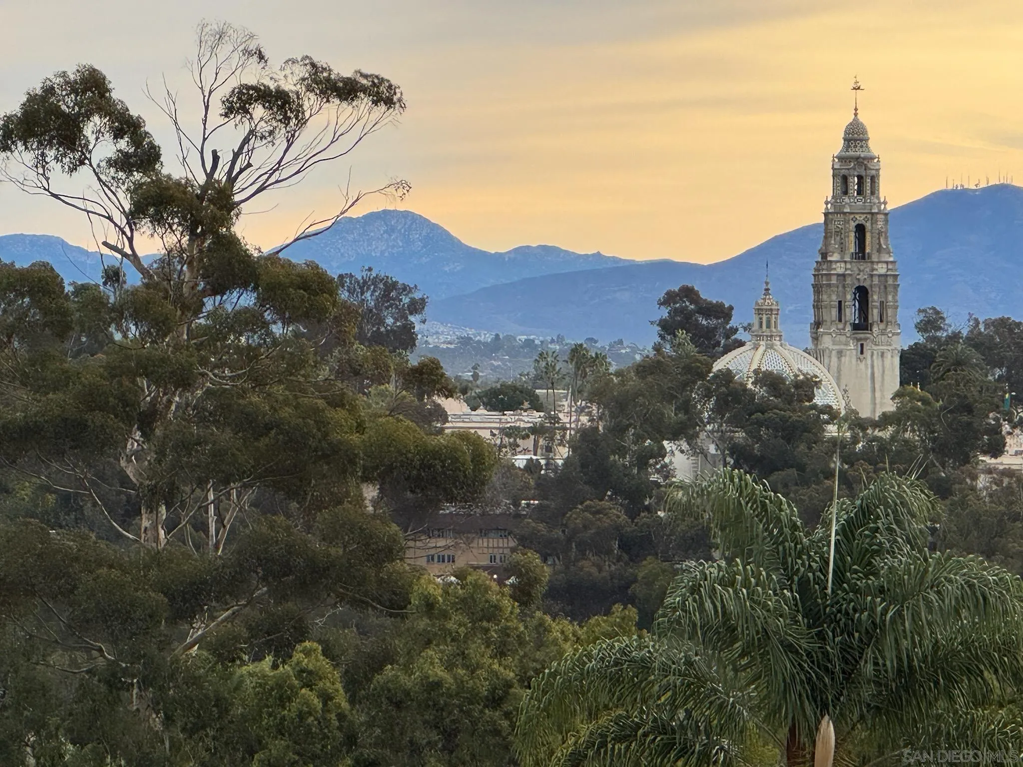 2604 5th Ave Unit #801