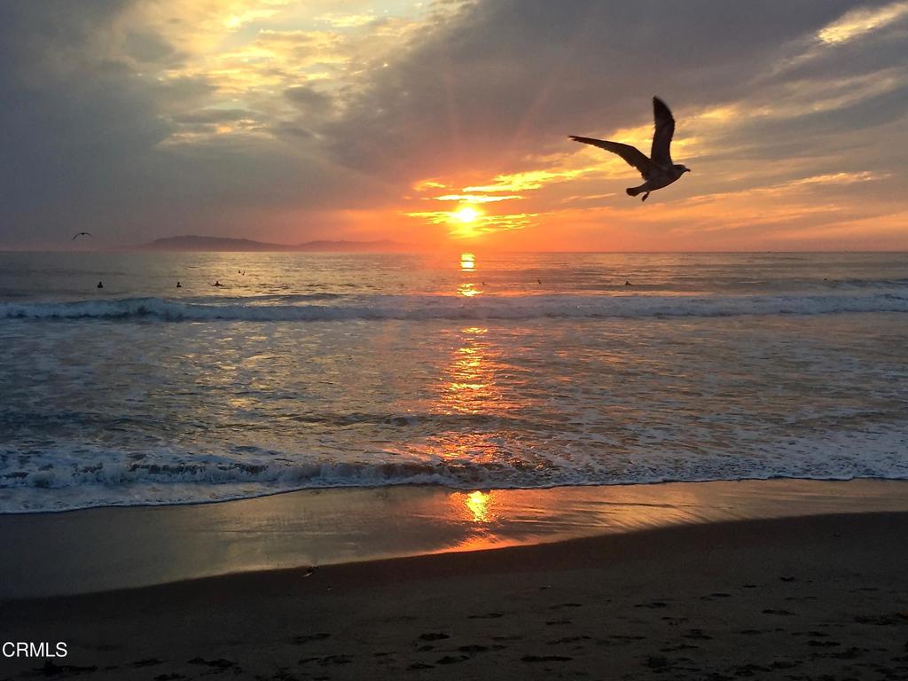 2301 Roosevelt Boulevard