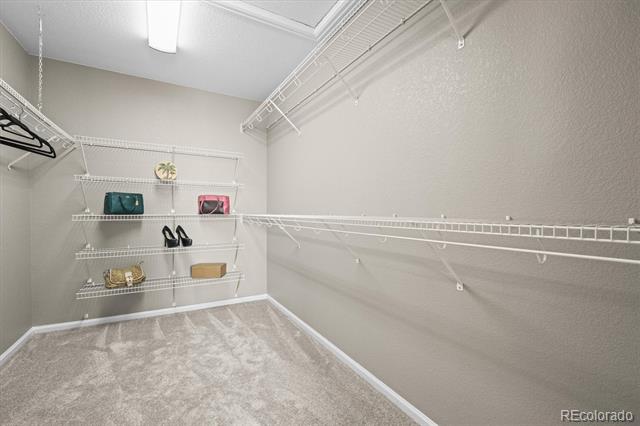 4100 Red Deer Trail