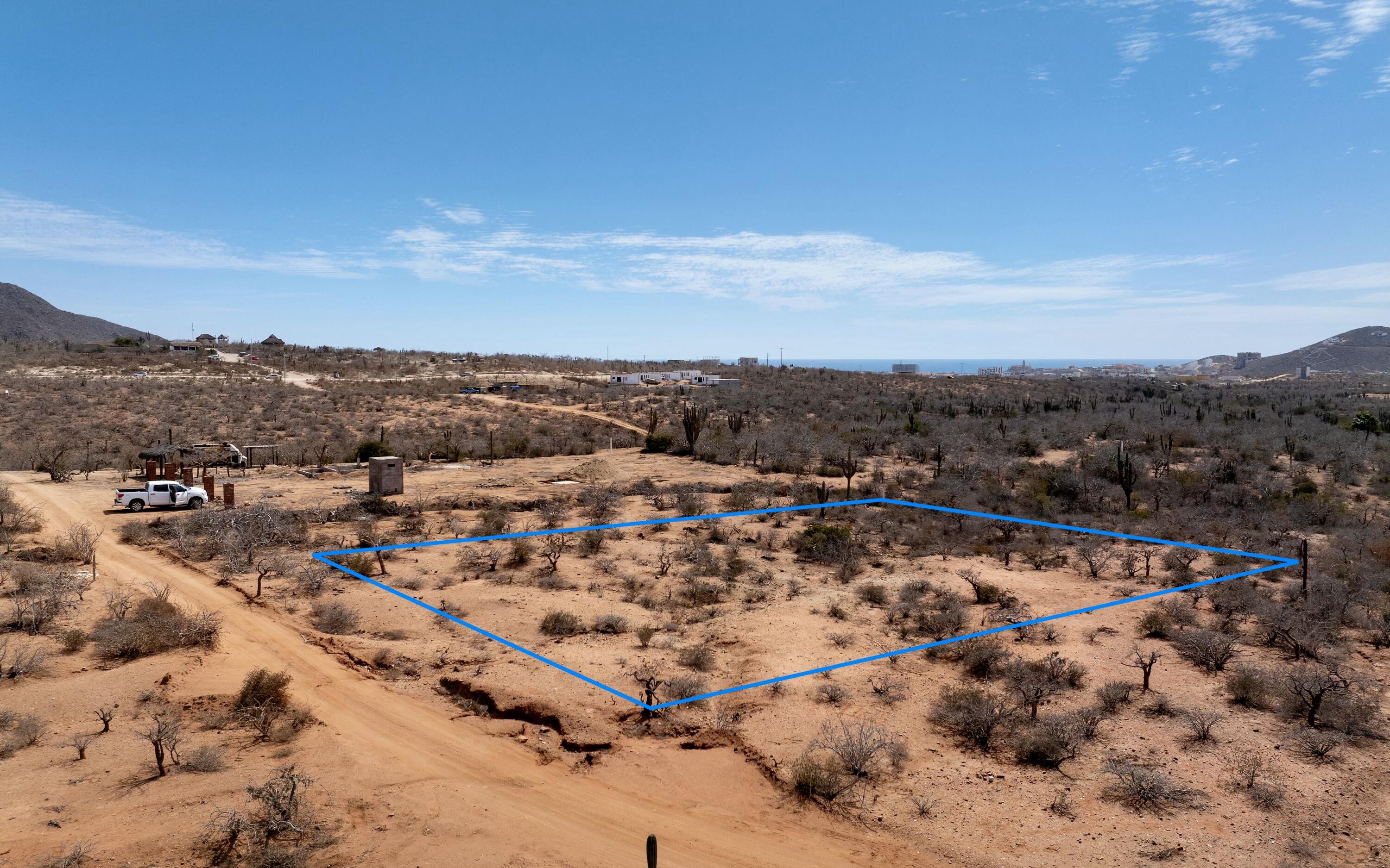 Cerritos near highway