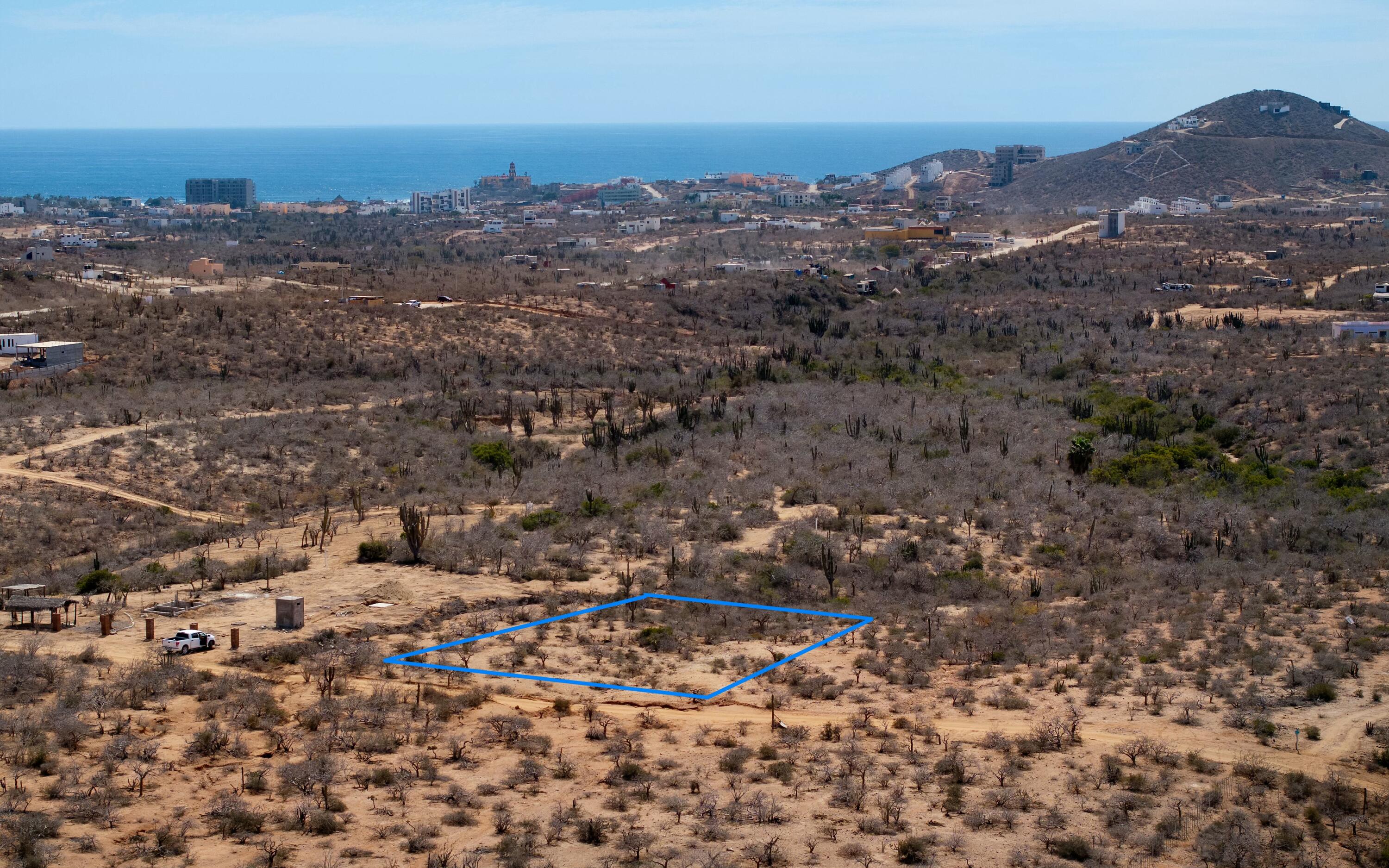 Cerritos near highway