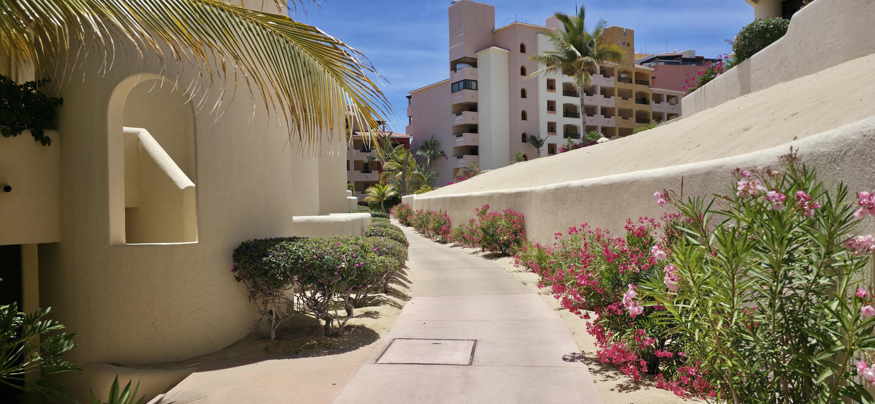 Terrasol 259