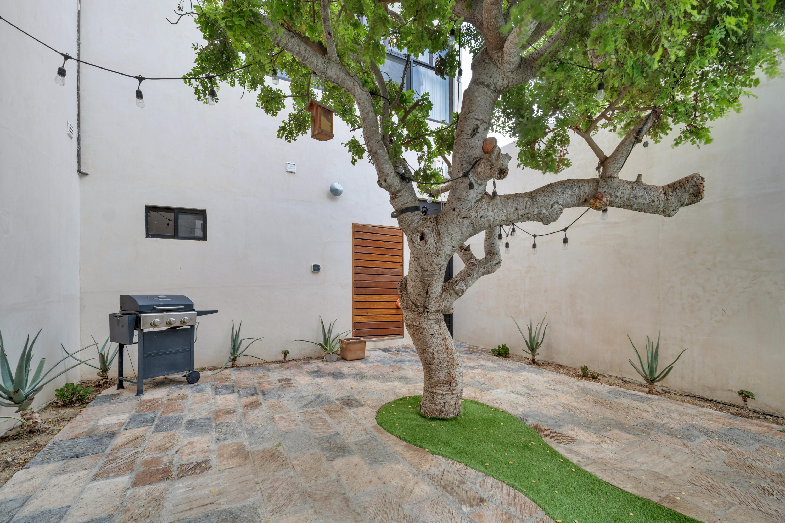 Modern with character, Casa Cactus