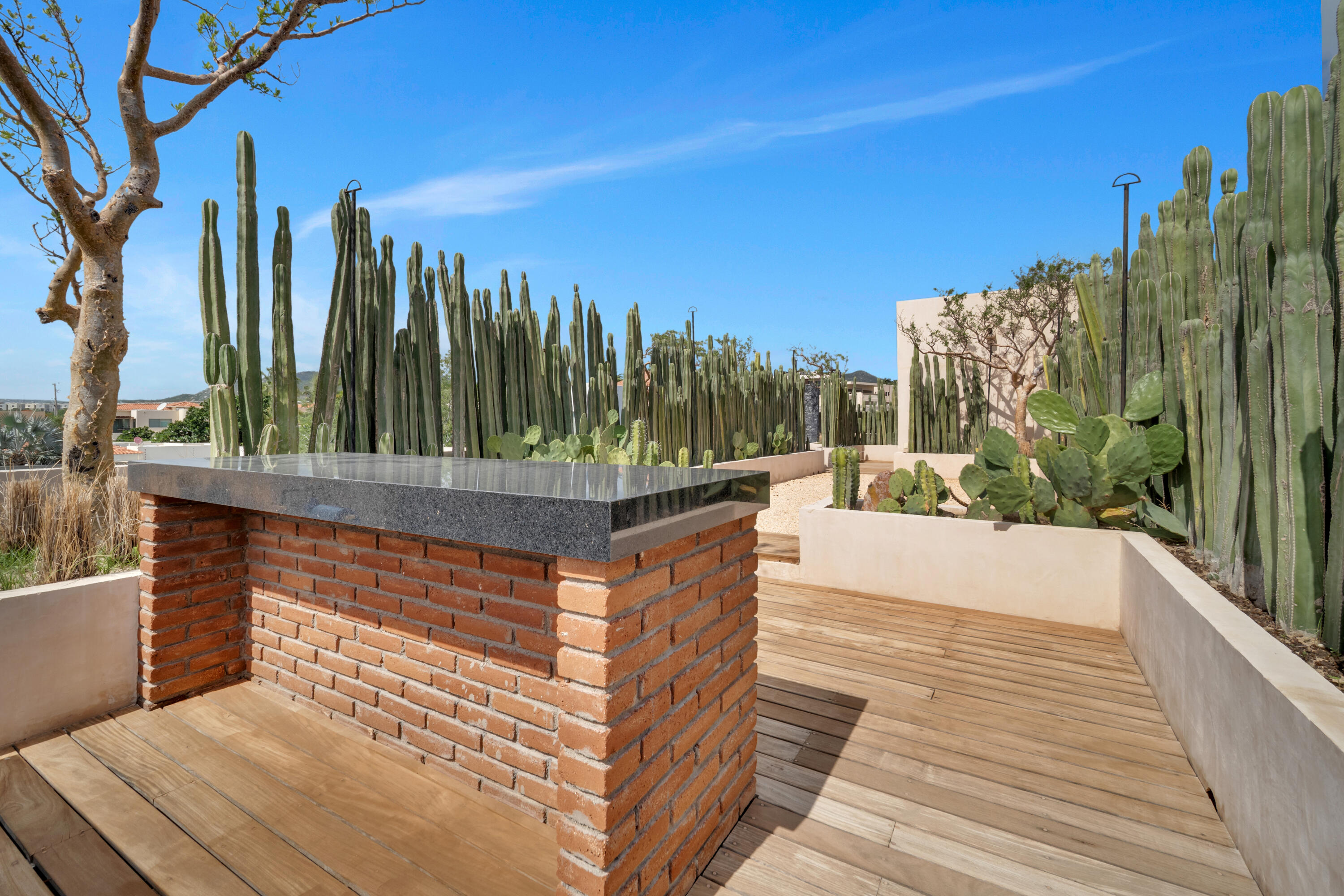 Modern with character, Casa Cactus