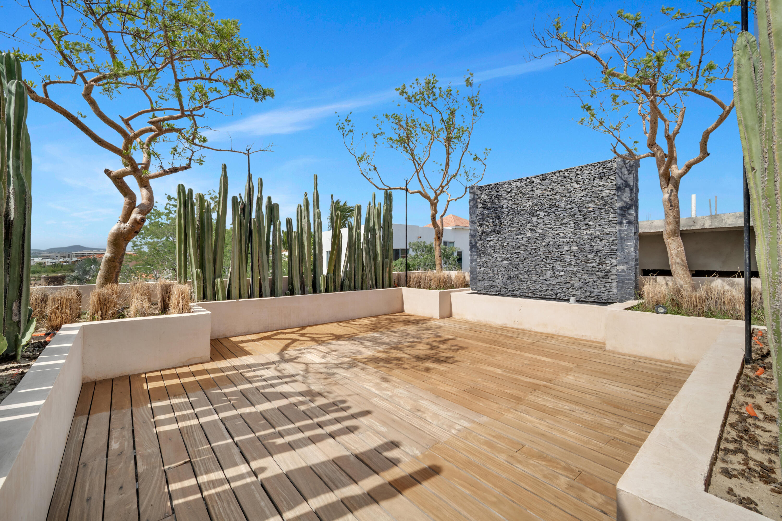 Modern with character, Casa Cactus