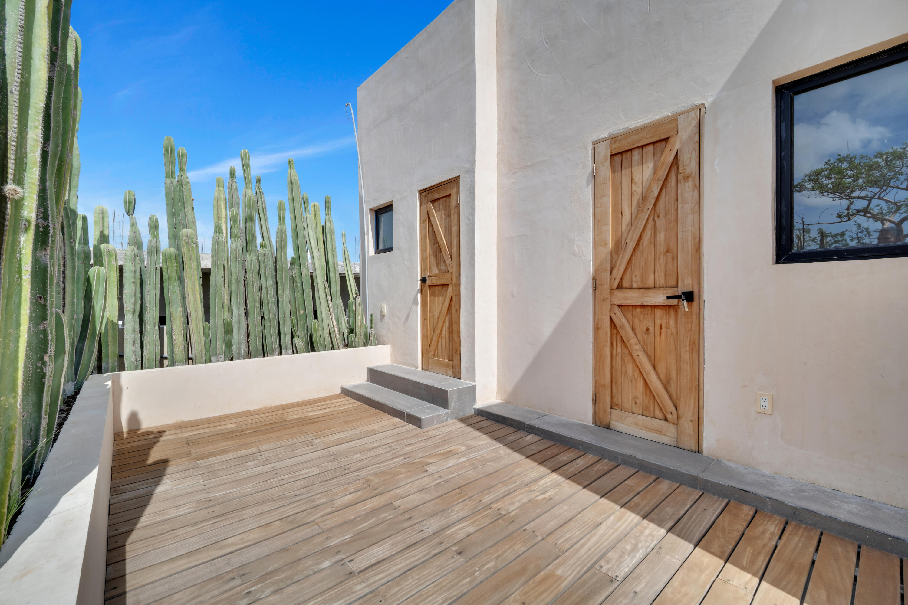 Modern with character, Casa Cactus