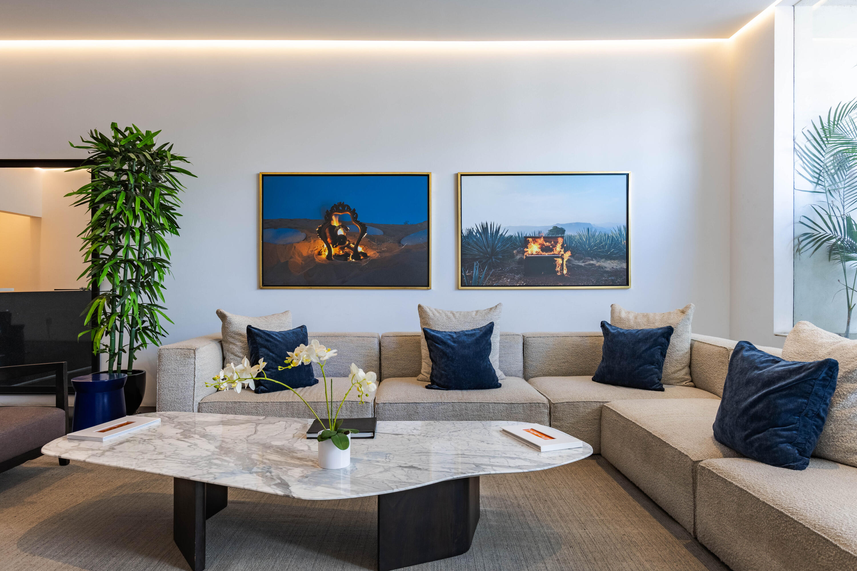 GAVIOTA MAREA LOS CABOS, CONDO