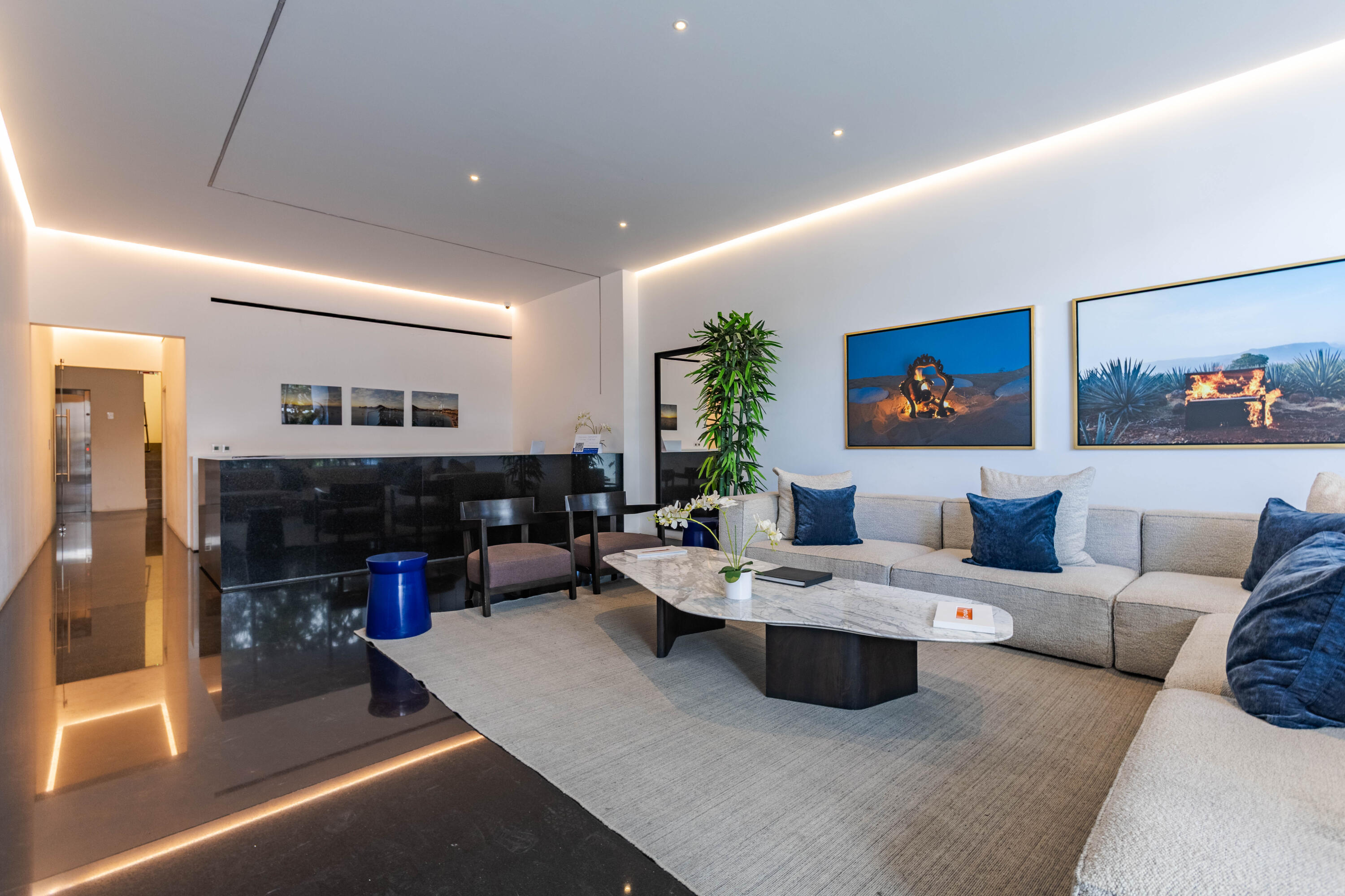 GAVIOTA MAREA LOS CABOS, CONDO