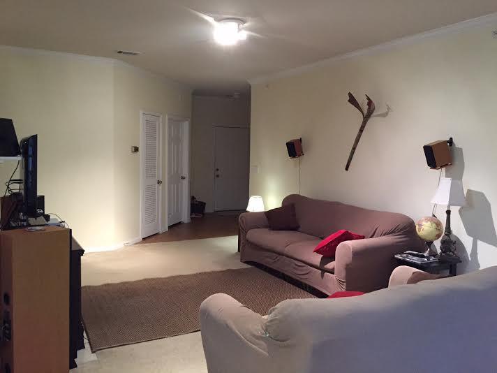 130 River Landing Drive # 8300