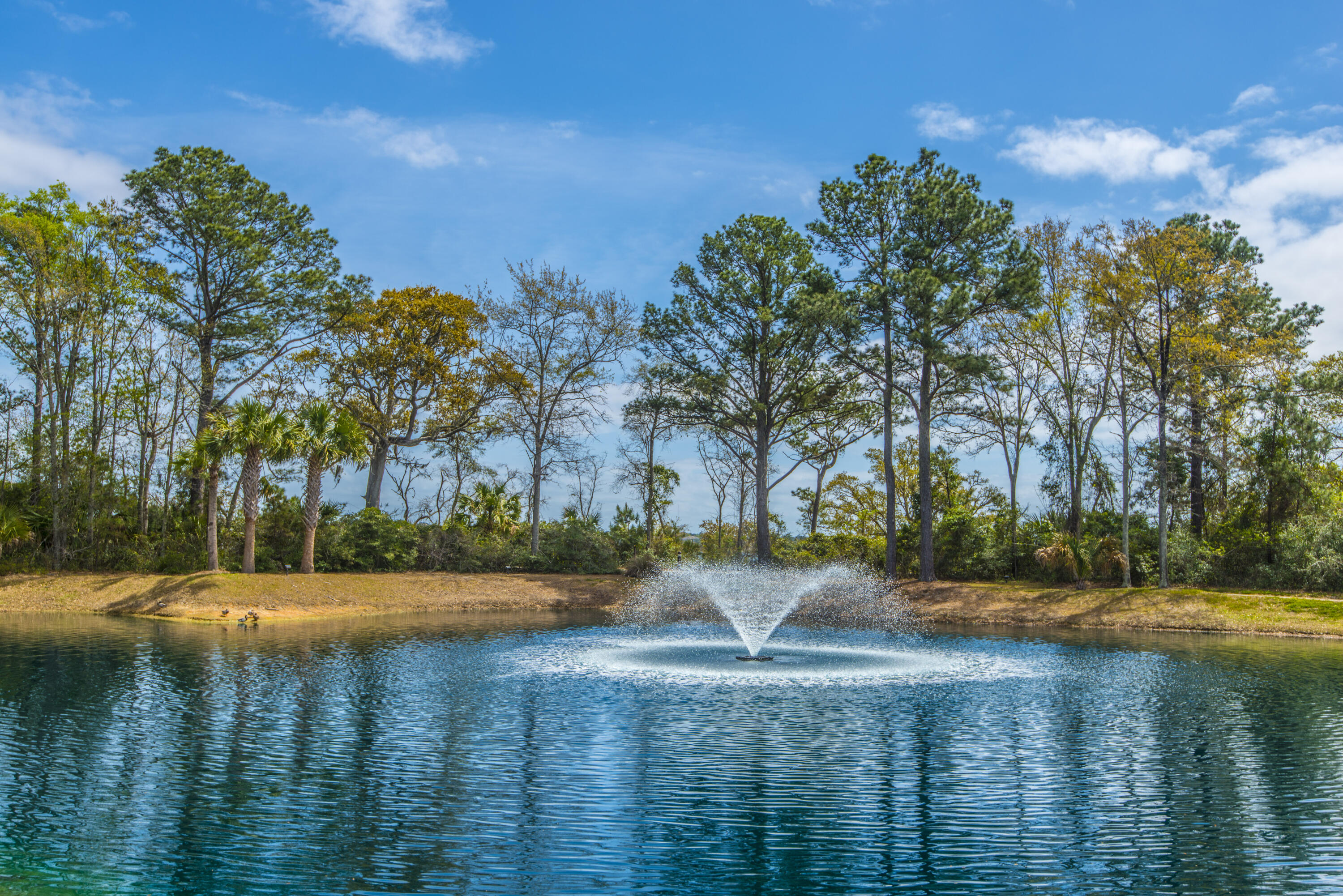 130 River Landing Drive Unit: 8210