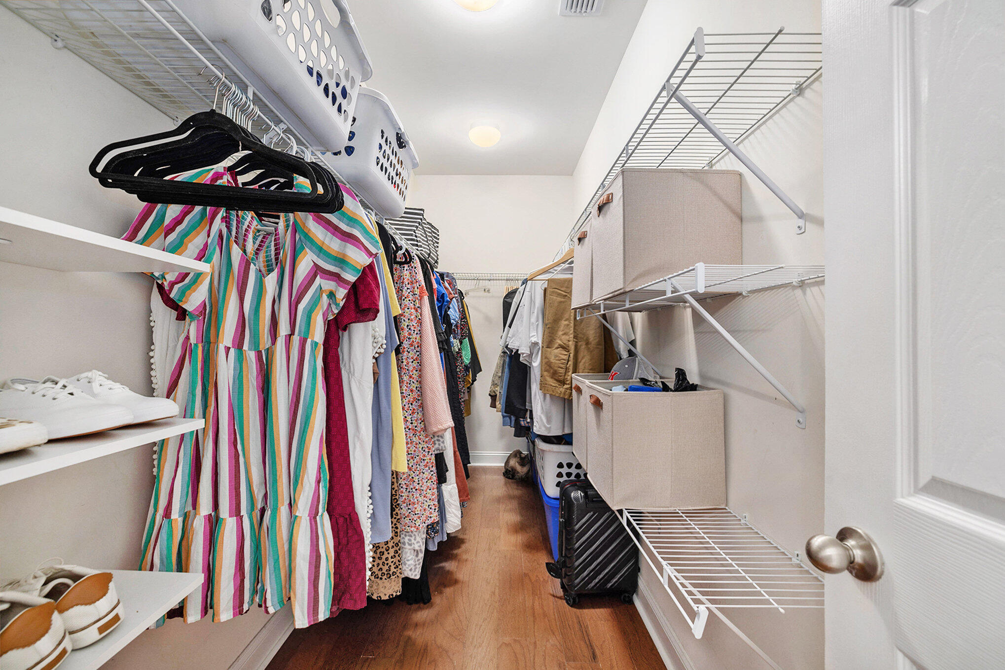 3201 Moonlight Drive