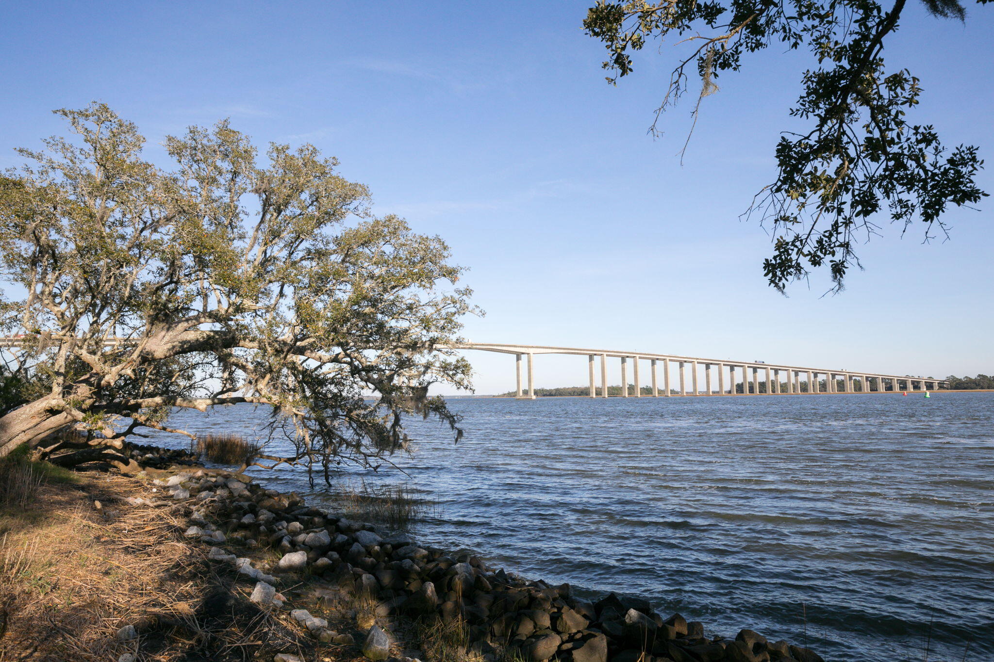 130 River Landing Drive # 7208