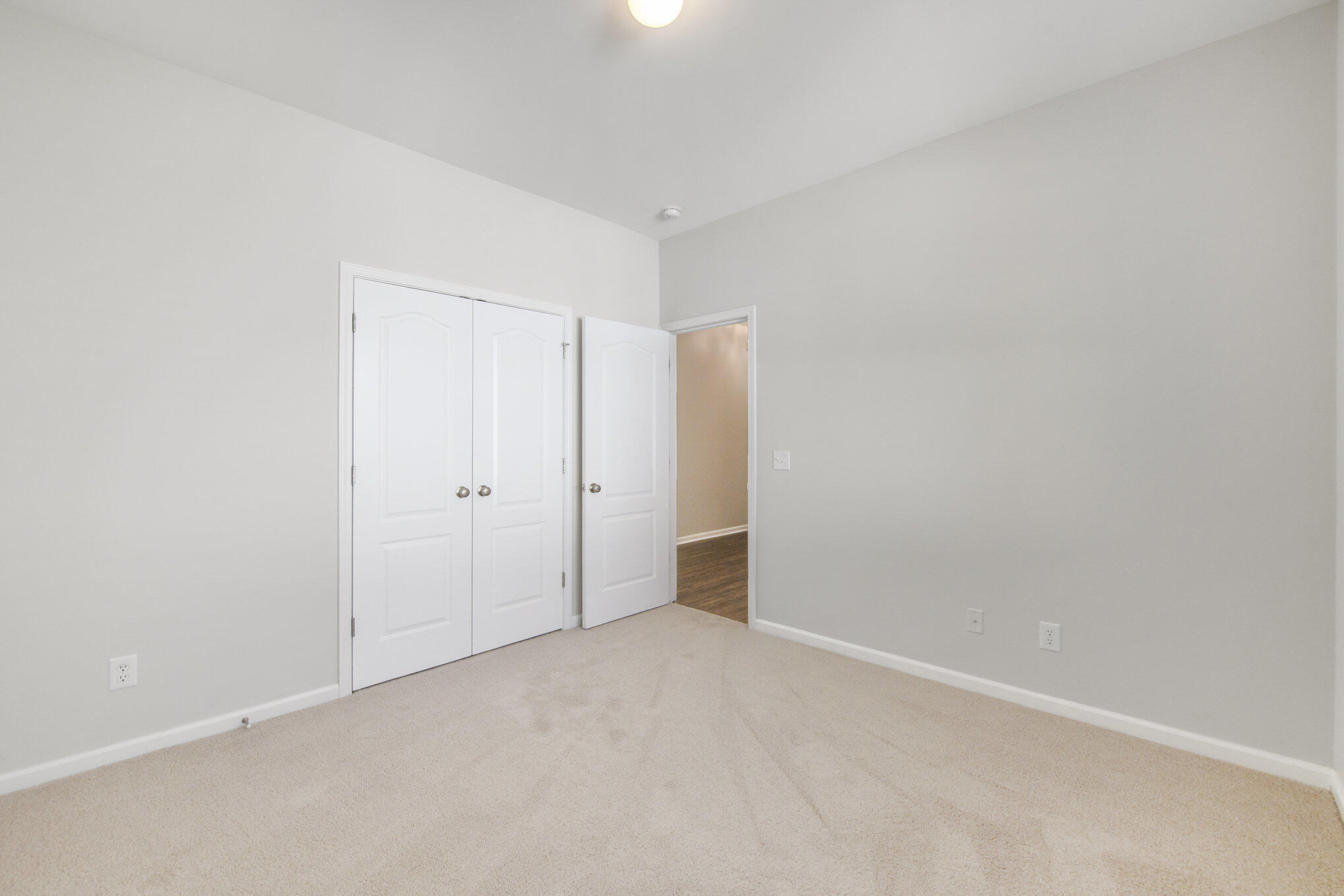 225 Mazyck Greens Court