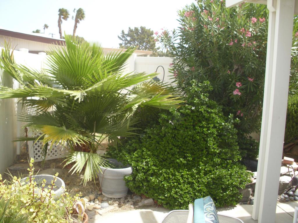 32600 Flagstaff Avenue