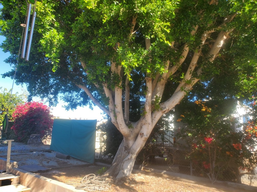 73450 Country Club Drive 10