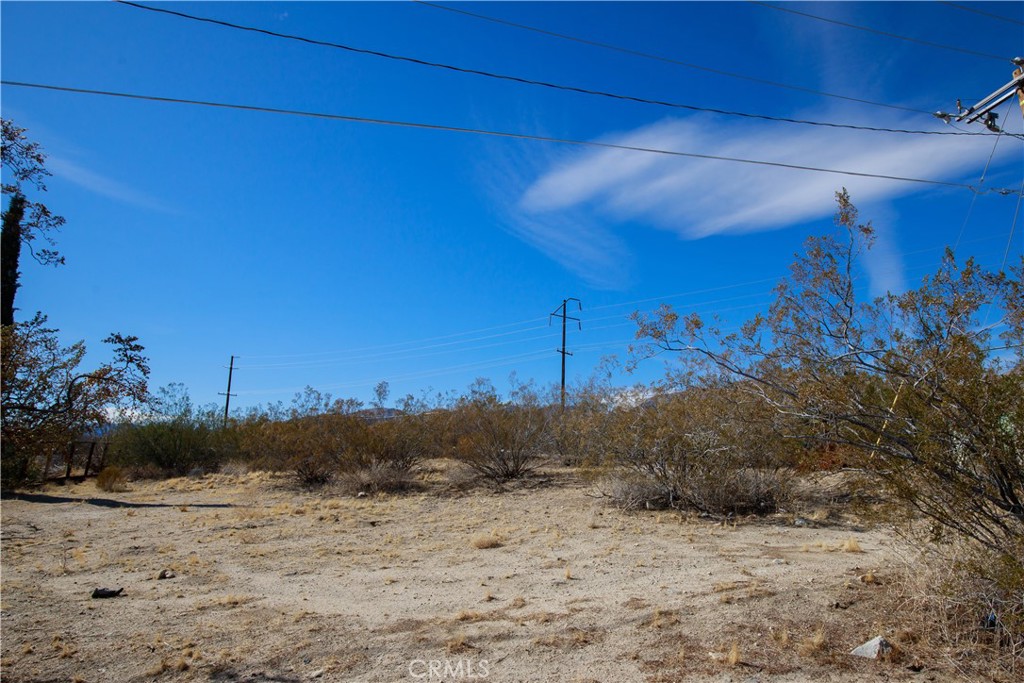 222 Twentynine Palms