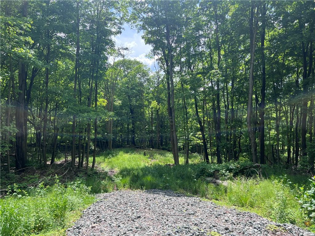 Rockwald Road