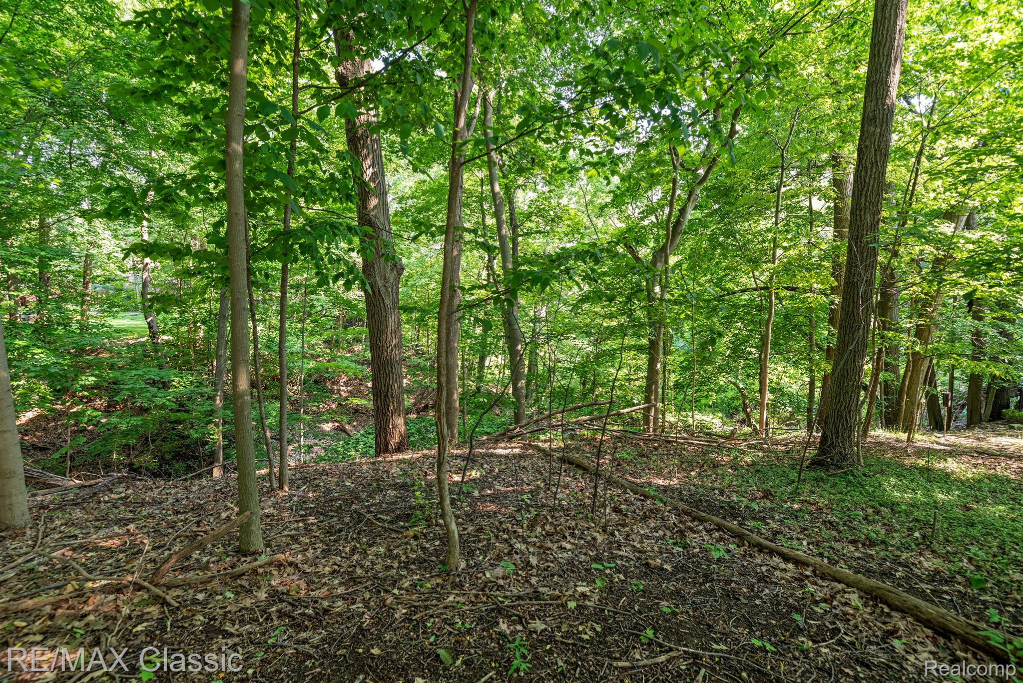 26990 HAMPSTEAD Boulevard