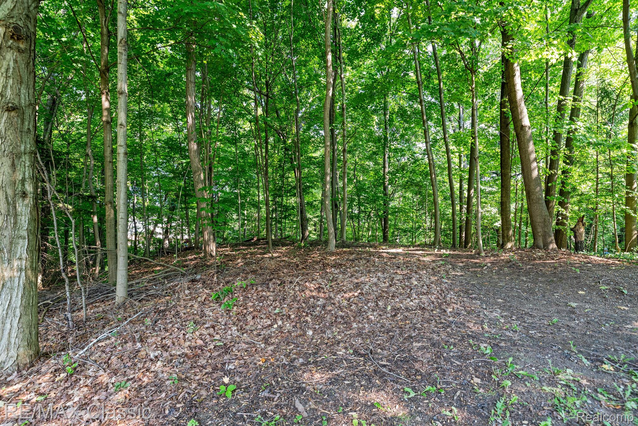 26990 HAMPSTEAD Boulevard